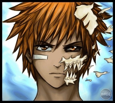 Ichigo Hollow Kurosaki