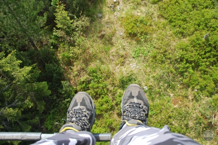 Feel like a bird :) 