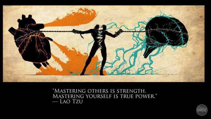 having heart and brain under the control is true power