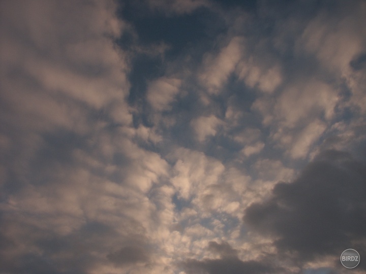..I live in dreams...