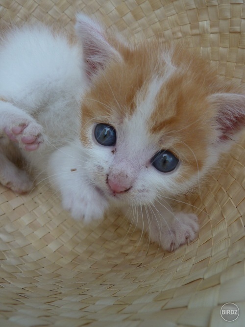 Lízuška ♥ 