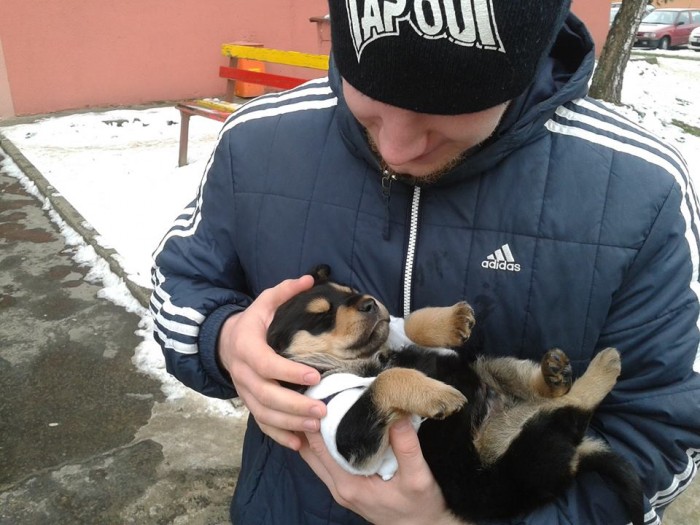 S havom 