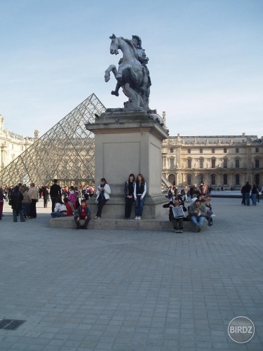 ..nemohli sme si nechať ujsť ani parížske kone :D