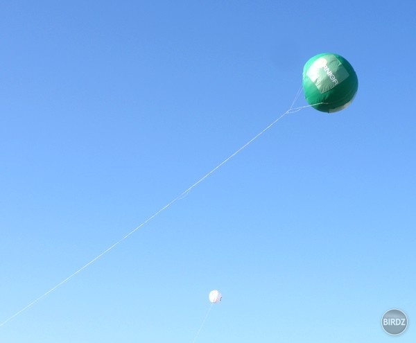 Obrázok