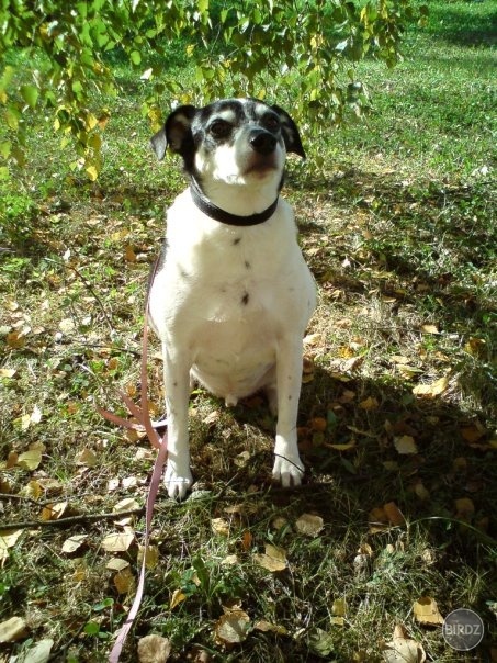 Roxy