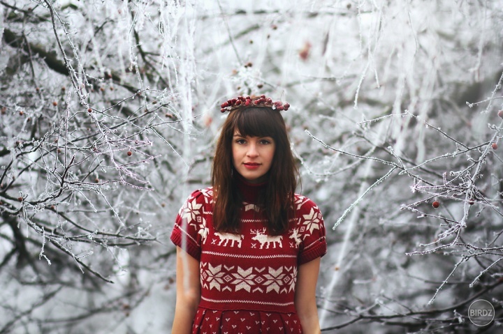 winter wonderland