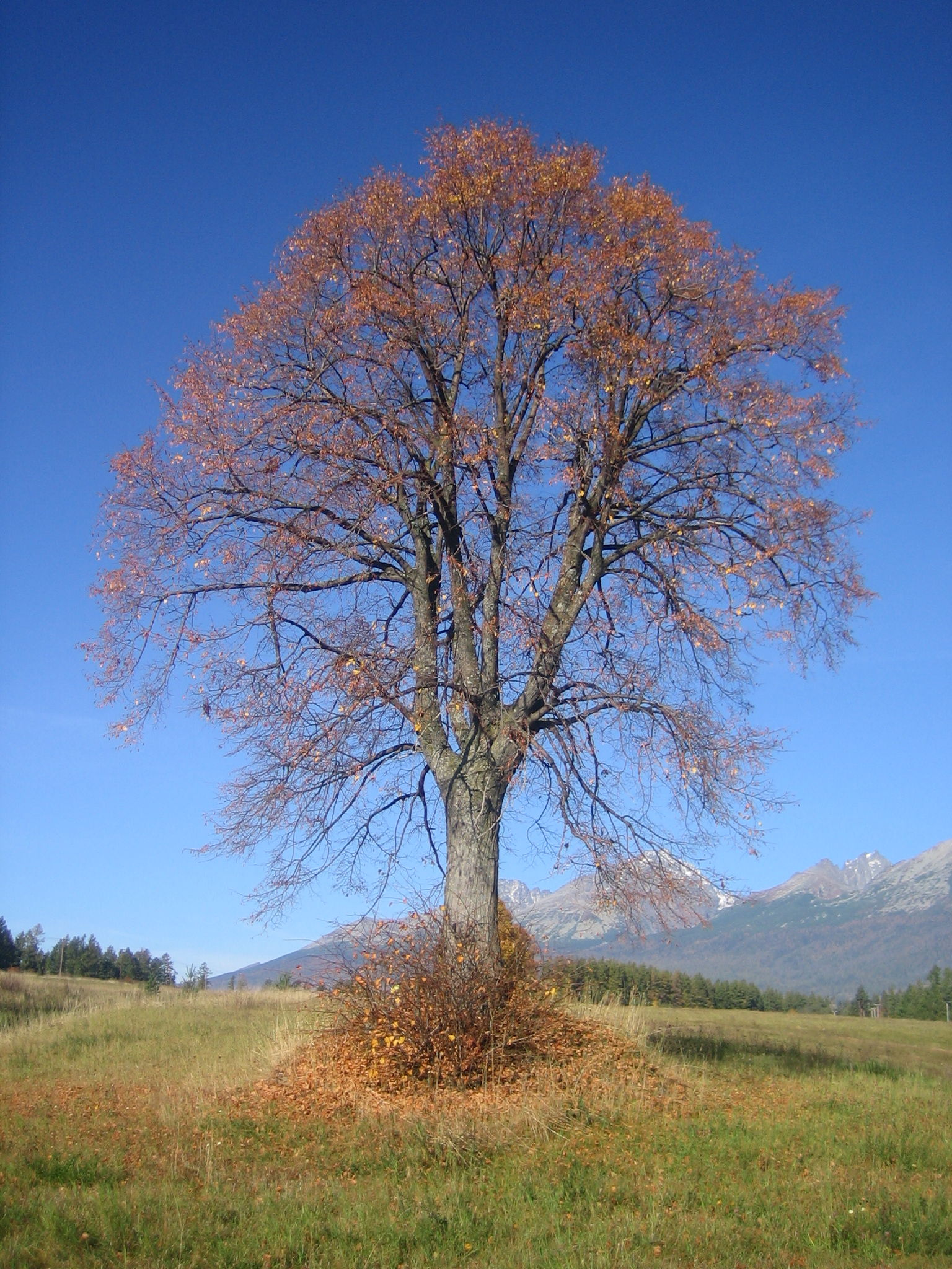 Vysoke Tatry