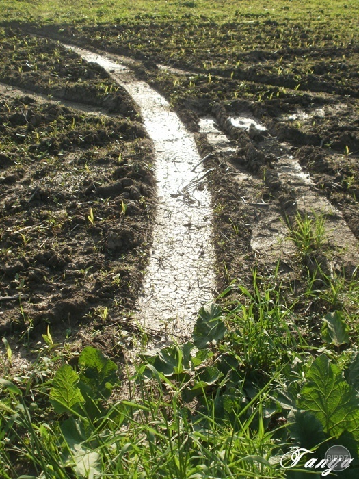 Obrázok