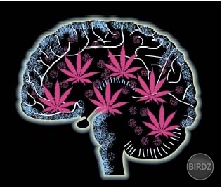 don´t cry, smoke ganja and fly ;)