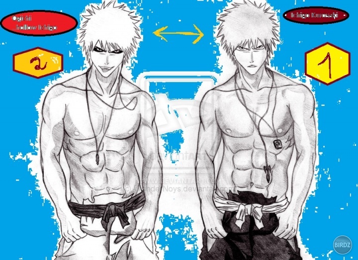 BLEACH__Ichigo__N_Hichigo_by_WonderNoys