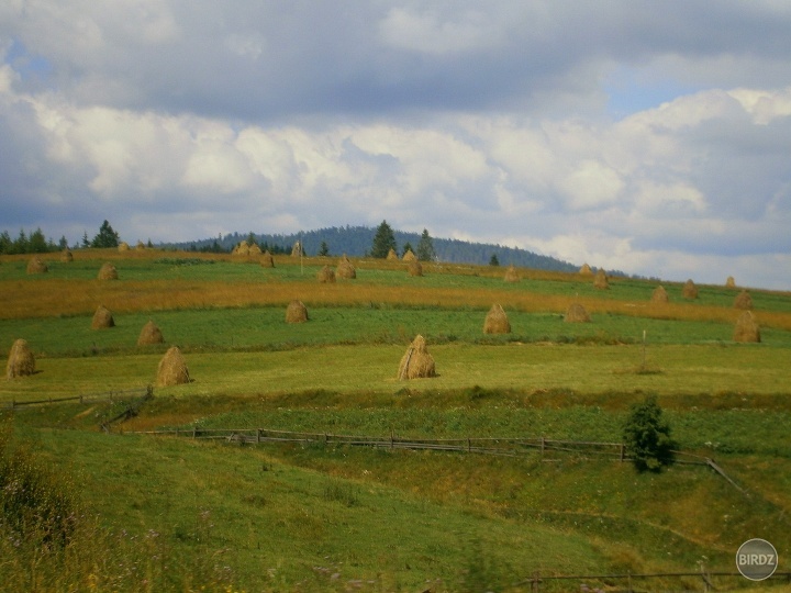 ...ručne pokosenú trávu a z nej ručne porobené takéto baly...