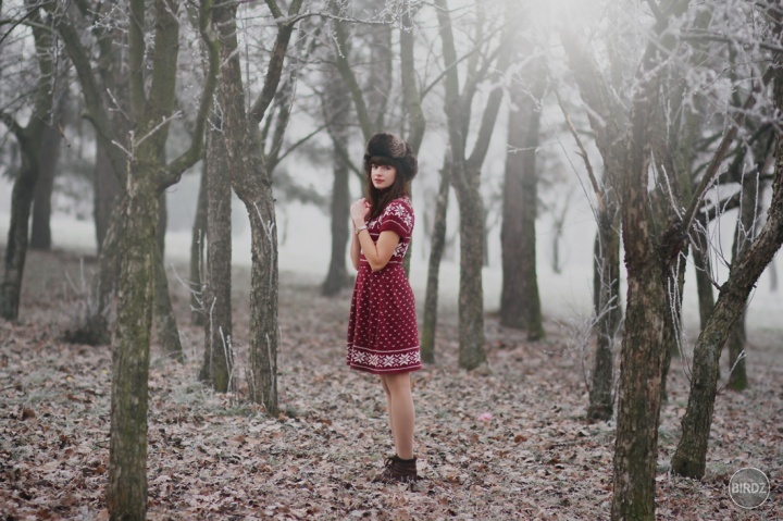 red poppy stories 2