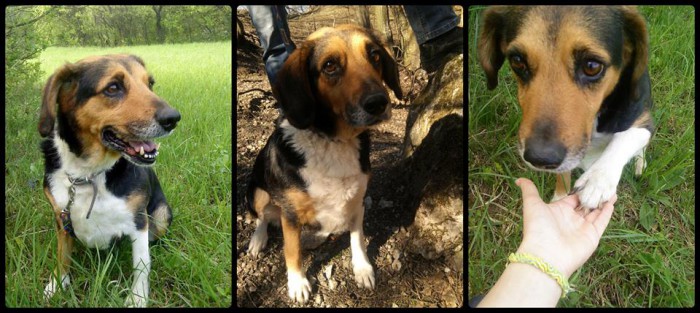 Jessie ♥ už je to staršia dáma 