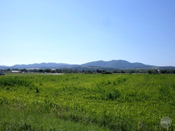 Obrázok