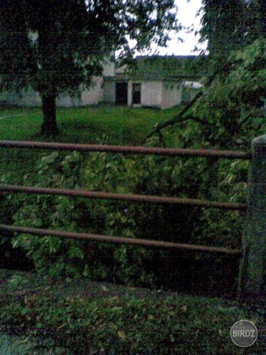 Obrázok