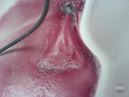 Dnešný rúžovo-fialový splav..