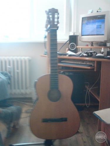 stará mať... táto gitara je zo 71. a stála 310 kčs!!