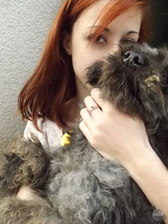 Viktória je strašná horenoska. (moja malá chlpatá krásna gulička.)