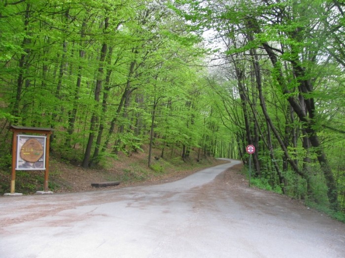 Košice Bankov