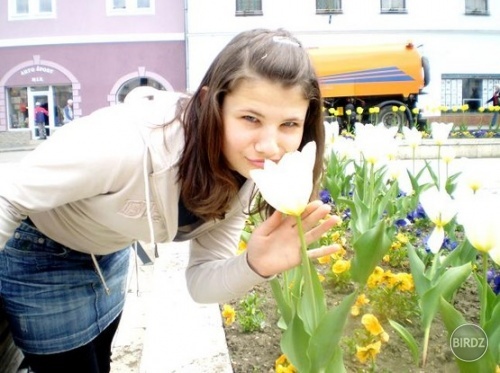 Obrázok