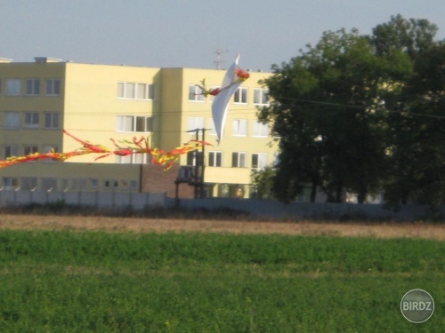 šarkááááááán 