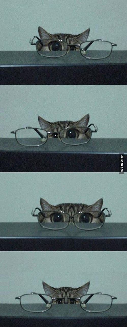   :nerd: :D