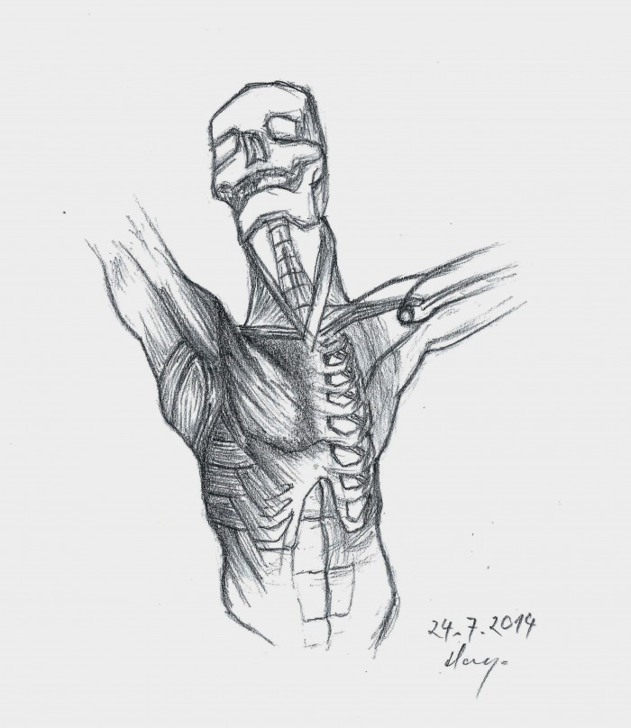 ... a human torso (with a pencil)