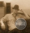 Obrázok