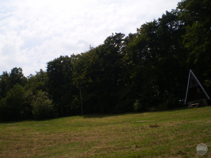 Obrázok