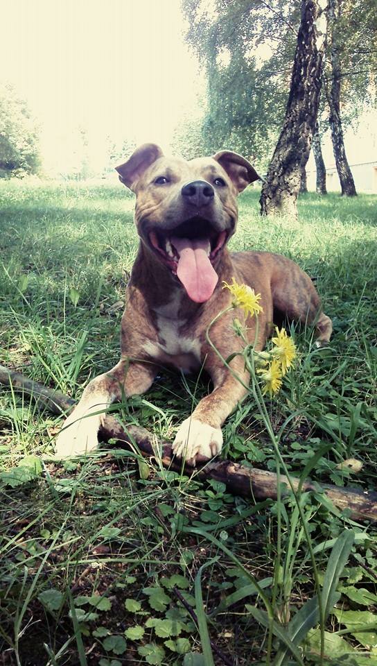 My giiiiirl :D