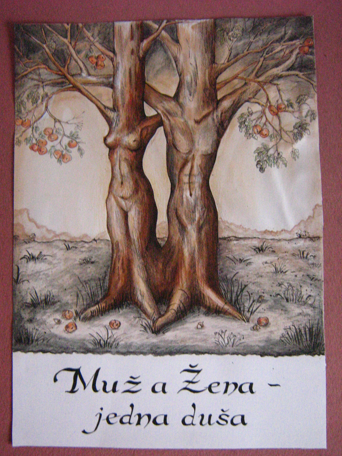 muz a zena
