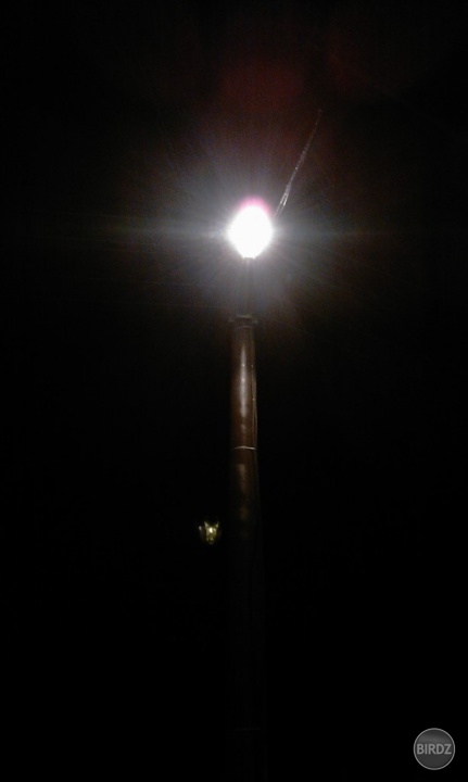 Poulicna lampa