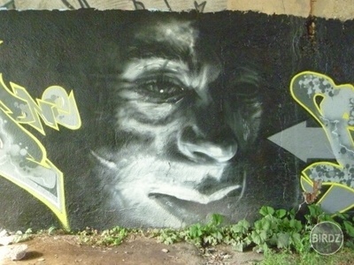 Obrázok