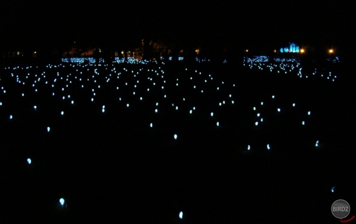 Mestský park Košice - Biela noc :) 