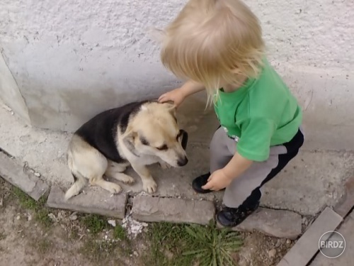 zmrd a braško:D:D:D
avo?:D ako vravi moj brat-Brutal:D
