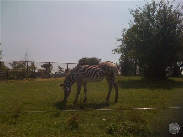 Obrázok