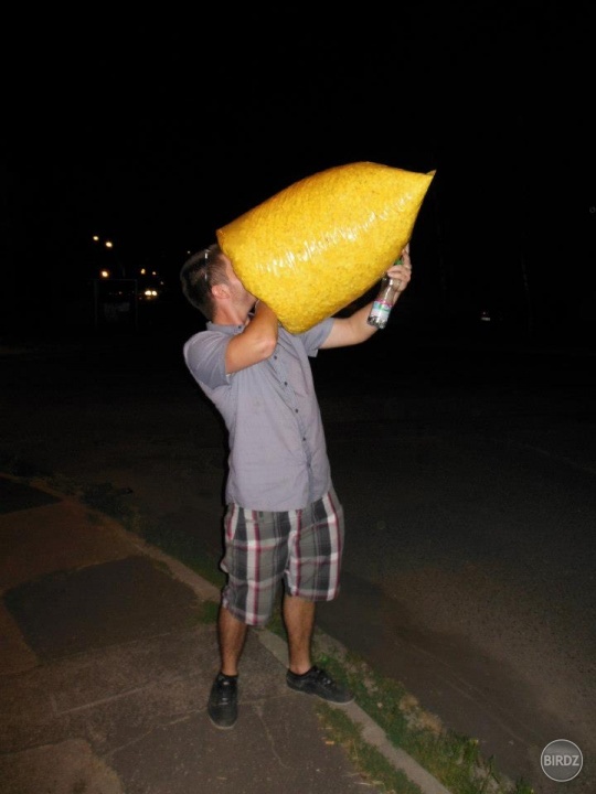 Obrázok