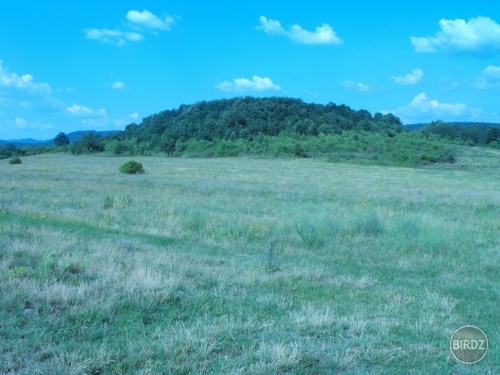 Obrázok