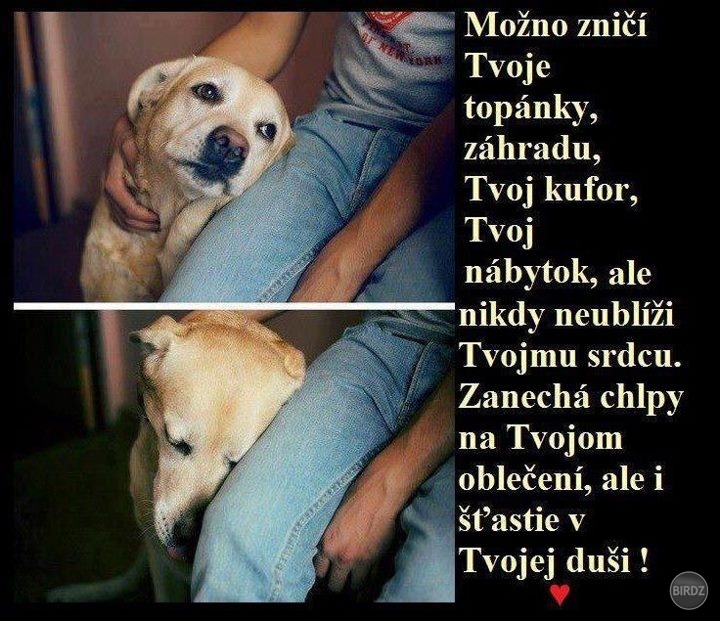 Obrázok