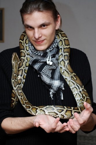 Obrázok