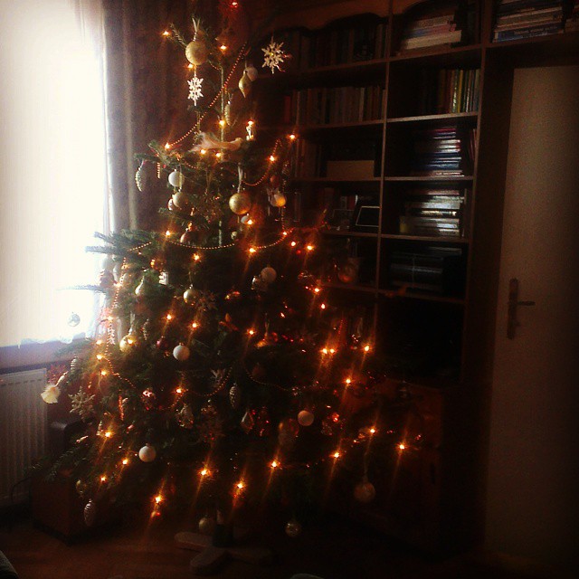 Tento rok sme mali tak veľký stromček, že sa nemestil na fotku. 2,5 metra *_*