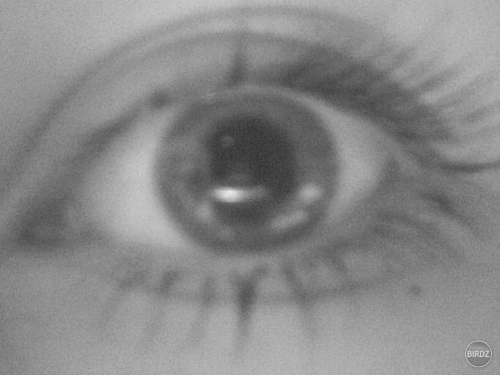 My eye ;-)