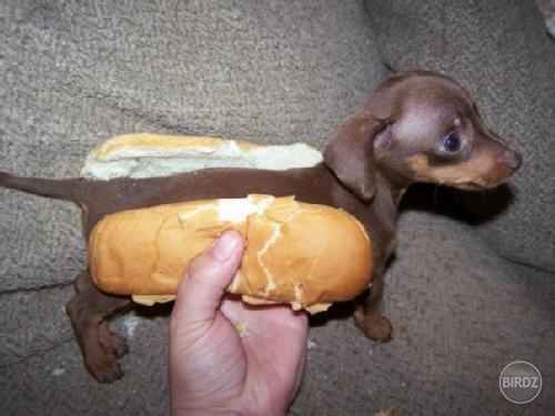Pravý hot-dog! :D