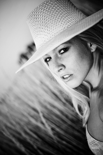 (c) Peter reefe Kováč - www.reefe.sk