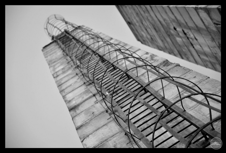 Cesta do neznáma