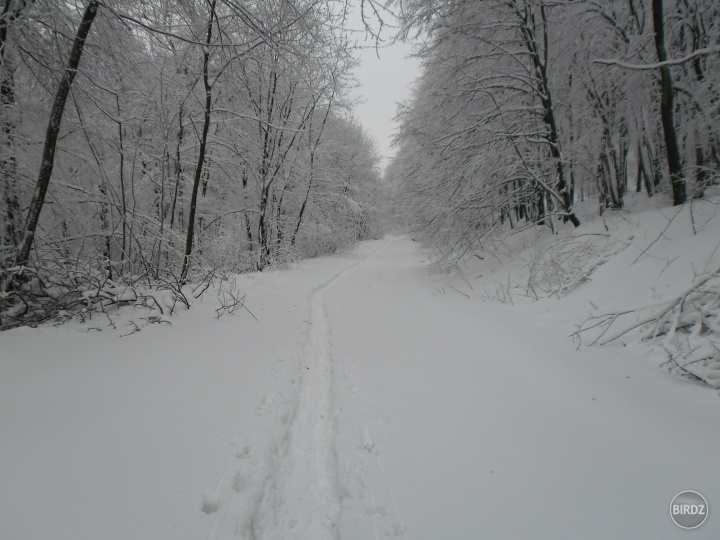 Obrázok