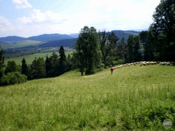 Valach nad obcou Sromowce Wyzne