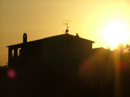 Tales from Toscana