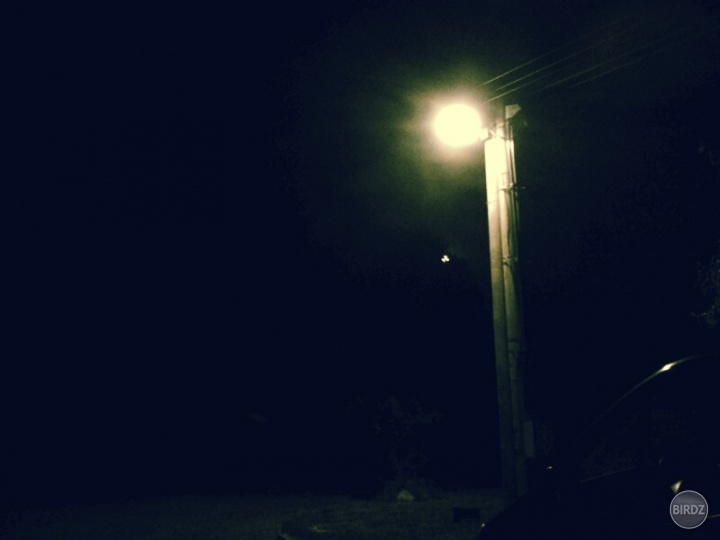 _ dark ...