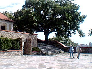 priroda